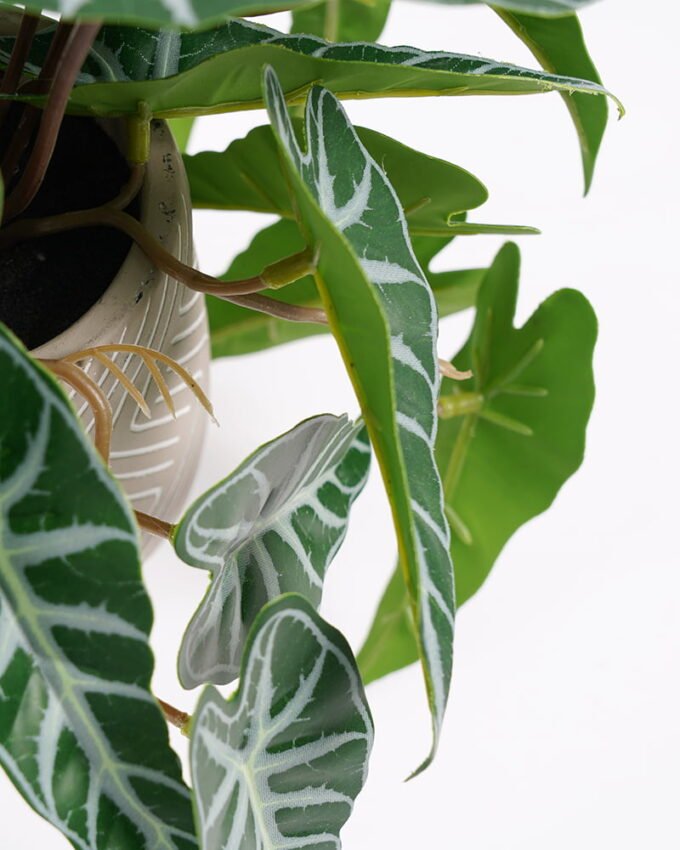Artificial Plant 20*17*21cm Touch Mini Alocasia Leaf in Cement pot GS-03321075 Potted Flowers&Plants 3,000+ sqm showroom with thousands of artificial flowers, plants & trees ready for global sourcing.