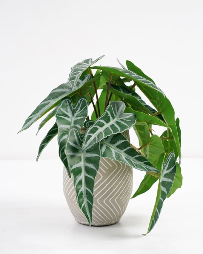 Artificial Plant 20*17*21cm Touch Mini Alocasia Leaf in Cement pot GS-03321075 Potted Flowers&Plants 3,000+ sqm showroom with thousands of artificial flowers, plants & trees ready for global sourcing.