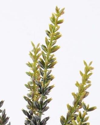 Artificial Plant 13*85cm Wheat spray*3 GS-62021007-G4 Leaves&Sprays&Foliages YeahFlower is one of Chinese leading OEM manufacturers and exporters , supplying the silk flowers, wholesale artificial trees