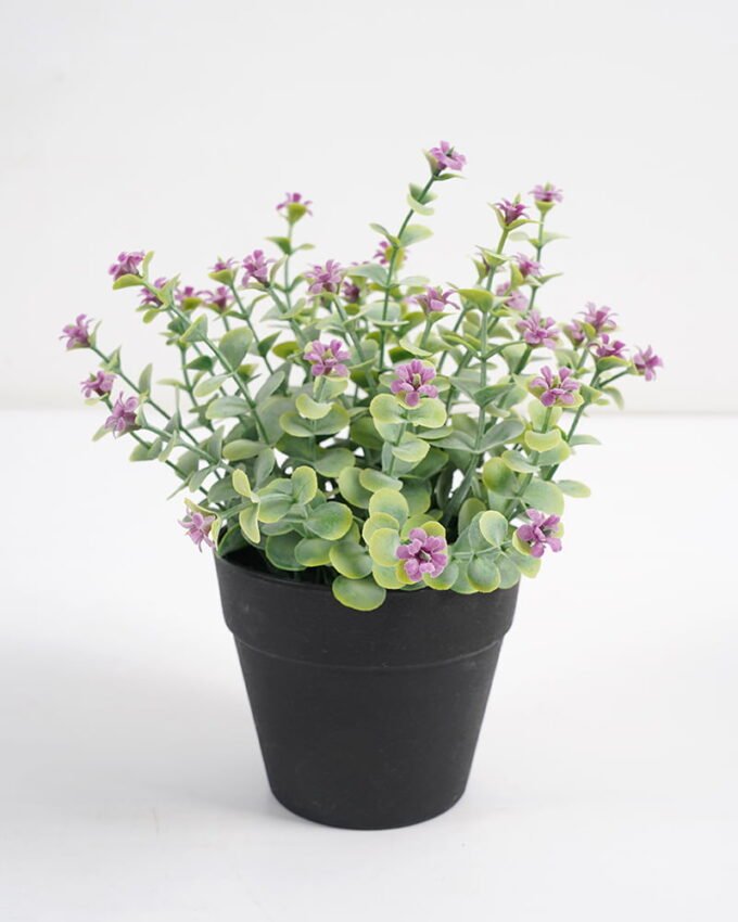 Artificial Plant H:17cm Wild flower in Plastic Pot GS-03321020 Potted Flowers&Plants YeahFlower is one of Chinese leading OEM manufacturers and exporters , supplying the silk flowers, wholesale artificial trees
