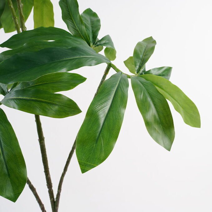 Artificial-Plant-leaves-spray-4-lvs52-knock-down-packing-GS-32521003_4-1.jpg Artificial Plant 51*95CM leaves spray*4/lvs52(knock down packing) GS-32521003 Leaves&Sprays&Foliages YeahFlower is one of Chinese leading OEM manufacturers and exporters , supplying the silk flowers, wholesale artificial trees