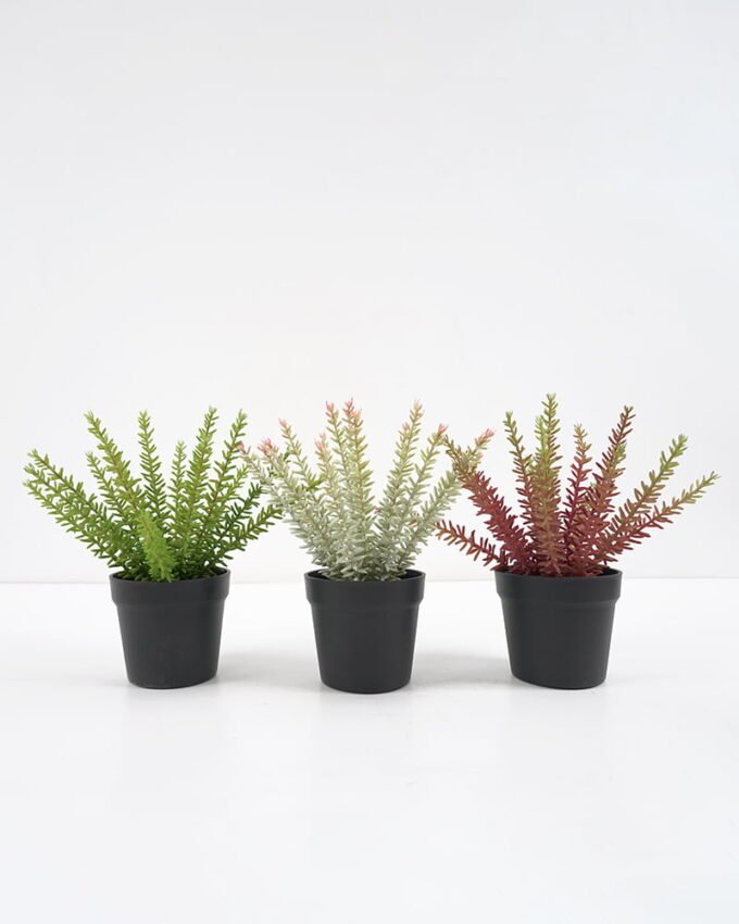 Artificial Plant succulent in pp pot GS-59121014 Potted Flowers&Plants YeahFlower is one of Chinese leading OEM manufacturers and exporters , supplying the silk flowers, wholesale artificial trees