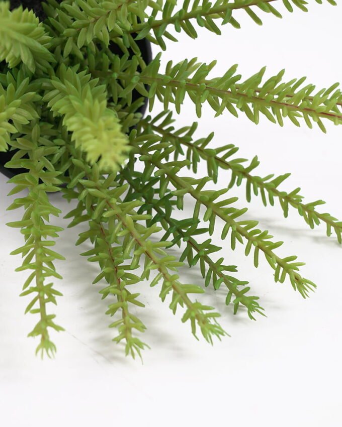 Artificial Plant succulent in pp pot GS-59121014 Potted Flowers&Plants YeahFlower is one of Chinese leading OEM manufacturers and exporters , supplying the silk flowers, wholesale artificial trees