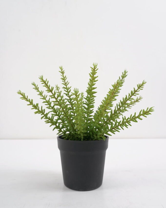 Artificial Plant succulent in pp pot GS-59121014 Potted Flowers&Plants YeahFlower is one of Chinese leading OEM manufacturers and exporters , supplying the silk flowers, wholesale artificial trees