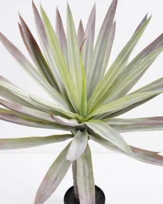 Artificial Tree 57*54*60CM Agave in pp pot/lvs29 GS-43421005 Tree&Plant YeahFlower is one of Chinese leading OEM manufacturers and exporters , supplying the silk flowers, wholesale artificial trees