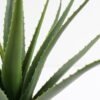 Artificial Tree 44*43*46CM Aloe in pp pot GS-59521003 Potted Flowers&Plants YeahFlower is one of Chinese leading OEM manufacturers and exporters , supplying the silk flowers, wholesale artificial trees