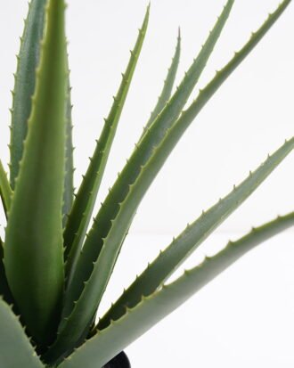 Artificial Tree 44*43*46CM Aloe in pp pot GS-59521003 Potted Flowers&Plants YeahFlower is one of Chinese leading OEM manufacturers and exporters , supplying the silk flowers, wholesale artificial trees