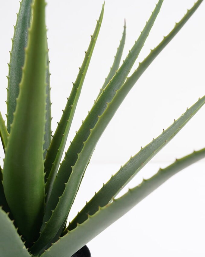 Artificial Tree 44*43*46CM Aloe in pp pot GS-59521003 Potted Flowers&Plants YeahFlower is one of Chinese leading OEM manufacturers and exporters , supplying the silk flowers, wholesale artificial trees