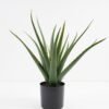 Artificial Tree 44*43*46CM Aloe in pp pot GS-59521003 Potted Flowers&Plants YeahFlower is one of Chinese leading OEM manufacturers and exporters , supplying the silk flowers, wholesale artificial trees