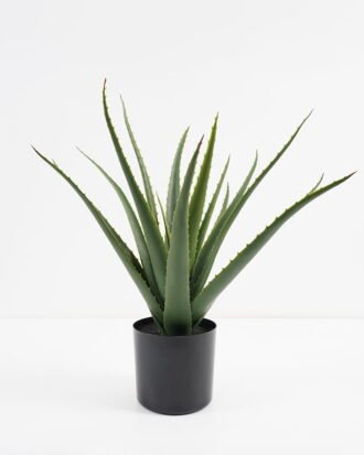 Artificial Tree 44*43*46CM Aloe in pp pot GS-59521003 Potted Flowers&Plants YeahFlower is one of Chinese leading OEM manufacturers and exporters , supplying the silk flowers, wholesale artificial trees