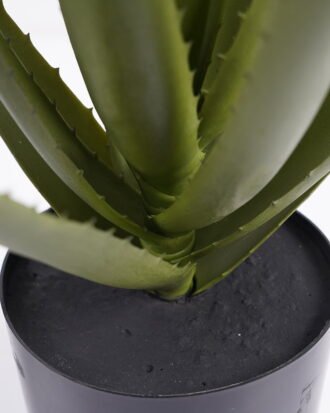 Artificial Tree 44*43*46CM Aloe in pp pot GS-59521004 Potted Flowers&Plants YeahFlower is one of Chinese leading OEM manufacturers and exporters , supplying the silk flowers, wholesale artificial trees