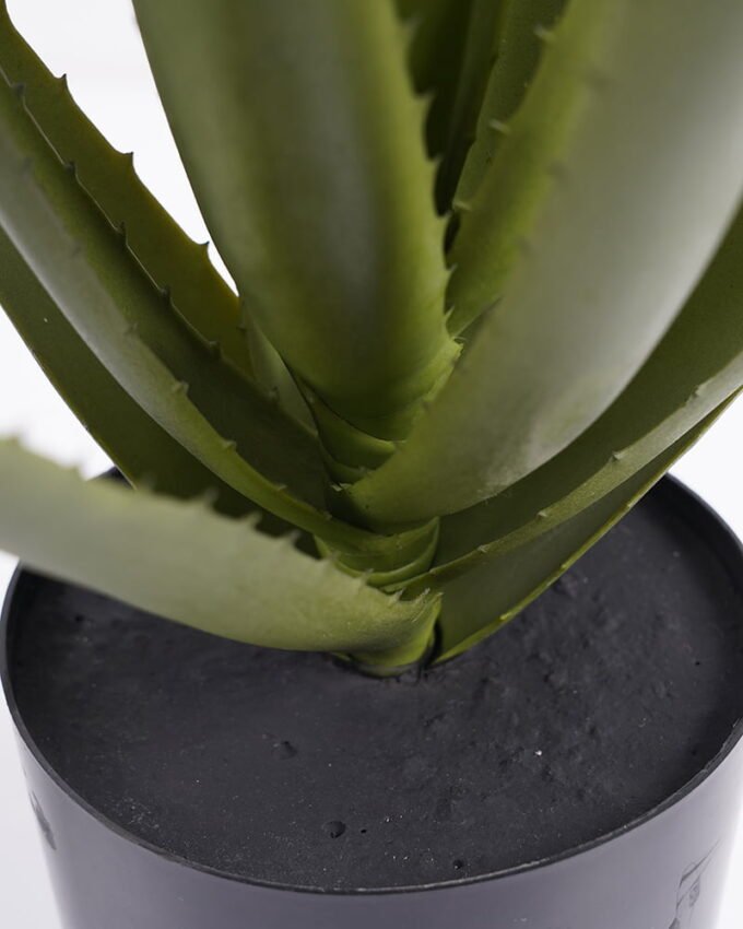 Artificial Tree 44*43*46CM Aloe in pp pot GS-59521004 Potted Flowers&Plants YeahFlower is one of Chinese leading OEM manufacturers and exporters , supplying the silk flowers, wholesale artificial trees