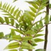 Artificial Tree 82*90*166CM Chinese Toon in pp pot GS-48521019 Tree&Plant 3,000+ sqm showroom with thousands of artificial flowers, plants & trees ready for global sourcing.
