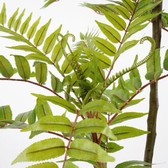 Artificial Tree 82*90*166CM Chinese Toon in pp pot GS-48521019 Tree&Plant YeahFlower is one of Chinese leading OEM manufacturers and exporters , supplying the silk flowers, wholesale artificial trees