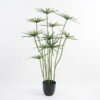 Artificial Tree 52*57*115CM Cyperaceae in pp pot GS-30420034JJA Potted Flowers&Plants YeahFlower is one of Chinese leading OEM manufacturers and exporters , supplying the silk flowers, wholesale artificial trees