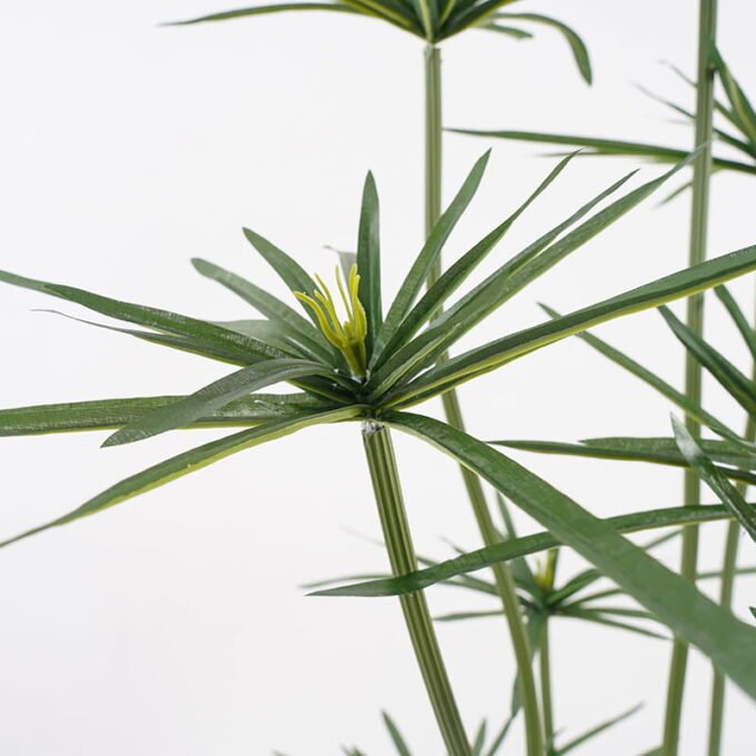 Artificial Tree 52*57*115CM Cyperaceae in pp pot GS-30420034JJA Potted Flowers&Plants YeahFlower is one of Chinese leading OEM manufacturers and exporters , supplying the silk flowers, wholesale artificial trees