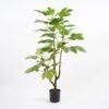 Artificial Tree Desert plant in pp pot lvs39 fruit15 GS-48521005_4 Artificial Tree 56*56*100CM Desert plant in pp pot/lvs39/fruit15 GS-48521005 Tree&Plant YeahFlower is one of Chinese leading OEM manufacturers and exporters , supplying the silk flowers, wholesale artificial trees