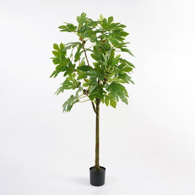 Artificial Tree 64*70*160CM Desert plant in pp pot/lvs91 GS-48521006 Tree&Plant YeahFlower is one of Chinese leading OEM manufacturers and exporters , supplying the silk flowers, wholesale artificial trees