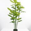 Artificial-Tree-Dieffenbachia-in-pp-pot-GS-30421002_5-1.jpg Artificial Tree Dieffenbachia in pp pot GS-30421002 Tree&Plant YeahFlower is one of Chinese leading OEM manufacturers and exporters , supplying the silk flowers, wholesale artificial trees