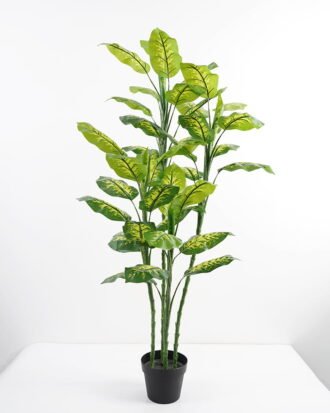 Artificial Tree Dieffenbachia in pp pot GS-30421002 Tree&Plant YeahFlower is one of Chinese leading OEM manufacturers and exporters , supplying the silk flowers, wholesale artificial trees Artificial Tree Dieffenbachia in pp pot GS-30421002 Tree&Plant YeahFlower is one of Chinese leading OEM manufacturers and exporters , supplying the silk flowers, wholesale artificial trees