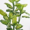 Artificial-Tree-Dieffenbachia-in-pp-pot-GS-30421002_6-1.jpg Artificial Tree Dieffenbachia in pp pot GS-30421002 Tree&Plant YeahFlower is one of Chinese leading OEM manufacturers and exporters , supplying the silk flowers, wholesale artificial trees