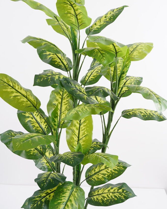 Artificial-Tree-Dieffenbachia-in-pp-pot-GS-30421002_6-1.jpg Artificial Tree Dieffenbachia in pp pot GS-30421002 Tree&Plant YeahFlower is one of Chinese leading OEM manufacturers and exporters , supplying the silk flowers, wholesale artificial trees