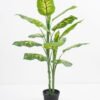 Artificial-Tree-Dieffenbachia-in-pp-pot-lvs17-GS-30421003_3-1.jpg Artificial Tree 61*51*83CM Dieffenbachia in pp pot/lvs17 GS-30421003 Potted Flowers&Plants YeahFlower is one of Chinese leading OEM manufacturers and exporters , supplying the silk flowers, wholesale artificial trees
