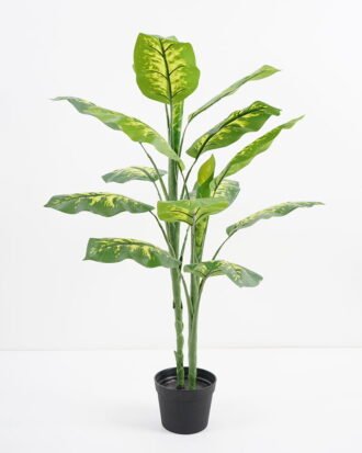 Artificial Tree 61*51*83CM Dieffenbachia in pp pot/lvs17 GS-30421003 Potted Flowers&Plants YeahFlower is one of Chinese leading OEM manufacturers and exporters , supplying the silk flowers, wholesale artificial trees