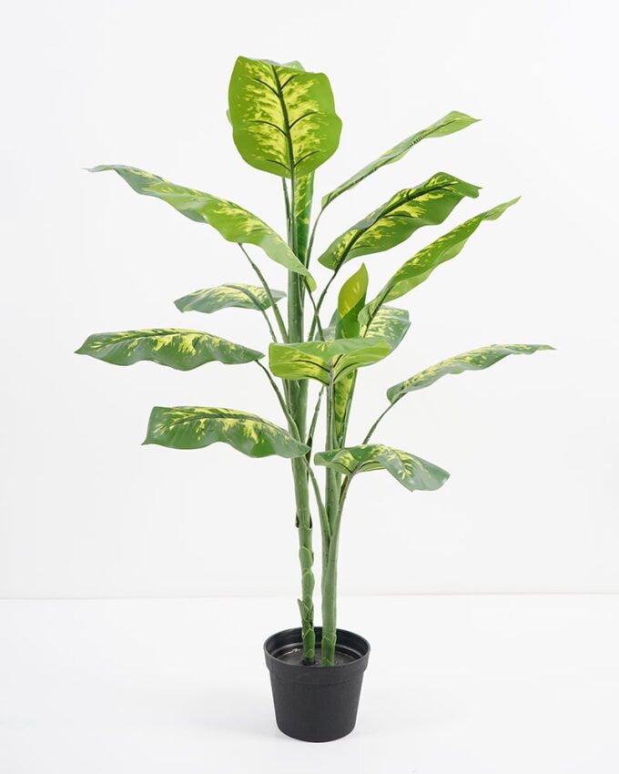 Artificial-Tree-Dieffenbachia-in-pp-pot-lvs17-GS-30421003_3-1.jpg Artificial Tree 61*51*83CM Dieffenbachia in pp pot/lvs17 GS-30421003 Potted Flowers&Plants YeahFlower is one of Chinese leading OEM manufacturers and exporters , supplying the silk flowers, wholesale artificial trees