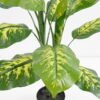 Artificial-Tree-Dieffenbachia-in-pp-pot-lvs17-GS-30421003_9-1.jpg Artificial Tree 61*51*83CM Dieffenbachia in pp pot/lvs17 GS-30421003 Potted Flowers&Plants YeahFlower is one of Chinese leading OEM manufacturers and exporters , supplying the silk flowers, wholesale artificial trees
