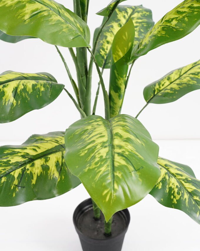 Artificial-Tree-Dieffenbachia-in-pp-pot-lvs17-GS-30421003_9-1.jpg Artificial Tree 61*51*83CM Dieffenbachia in pp pot/lvs17 GS-30421003 Potted Flowers&Plants YeahFlower is one of Chinese leading OEM manufacturers and exporters , supplying the silk flowers, wholesale artificial trees