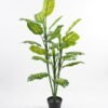 Artificial-Tree-Dieffenbachia-in-pp-pot-lvs28-GS-30421004_3-1.jpg Artificial Tree 65*65*106CM Dieffenbachia in pp pot/lvs28 GS-30421004 Potted Flowers&Plants YeahFlower is one of Chinese leading OEM manufacturers and exporters , supplying the silk flowers, wholesale artificial trees