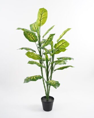 Artificial Tree 65*65*106CM Dieffenbachia in pp pot/lvs28 GS-30421004 Potted Flowers&Plants YeahFlower is one of Chinese leading OEM manufacturers and exporters , supplying the silk flowers, wholesale artificial trees