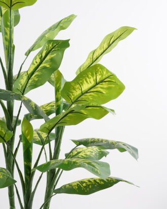 Artificial Tree 65*65*106CM Dieffenbachia in pp pot/lvs28 GS-30421004 Potted Flowers&Plants YeahFlower is one of Chinese leading OEM manufacturers and exporters , supplying the silk flowers, wholesale artificial trees