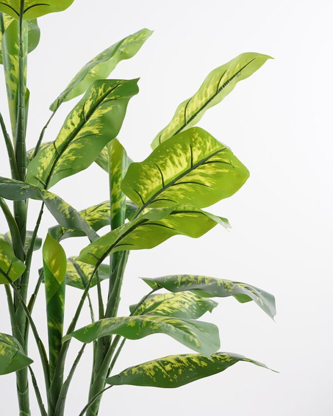 Artificial-Tree-Dieffenbachia-in-pp-pot-lvs28-GS-30421004_7-1.jpg Artificial Tree 65*65*106CM Dieffenbachia in pp pot/lvs28 GS-30421004 Potted Flowers&Plants YeahFlower is one of Chinese leading OEM manufacturers and exporters , supplying the silk flowers, wholesale artificial trees