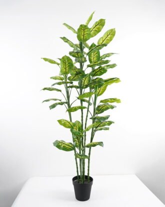 Artificial Tree 81*60*175CM Dieffenbachia in pp pot/lvs63 GS-30421005 Potted Flowers&Plants YeahFlower is one of Chinese leading OEM manufacturers and exporters , supplying the silk flowers, wholesale artificial trees