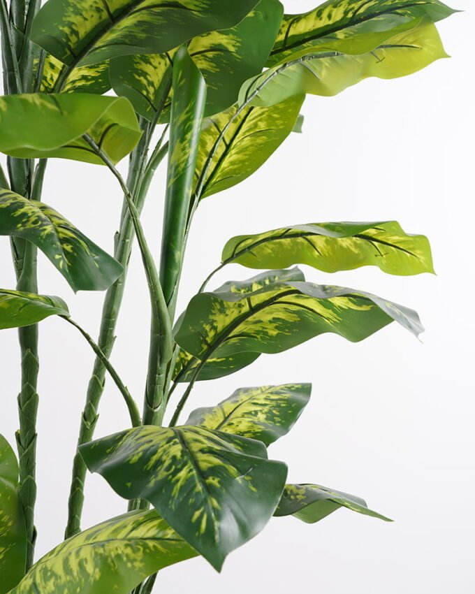 Artificial-Tree-Dieffenbachia-in-pp-pot-lvs63-GS-30421005_9-1.jpg Artificial Tree 81*60*175CM Dieffenbachia in pp pot/lvs63 GS-30421005 Potted Flowers&Plants YeahFlower is one of Chinese leading OEM manufacturers and exporters , supplying the silk flowers, wholesale artificial trees