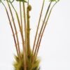 Artificial Tree 86*83*80CM Fern potted/lvs9 GS-48521003 Tree&Plant YeahFlower is one of Chinese leading OEM manufacturers and exporters , supplying the silk flowers, wholesale artificial trees