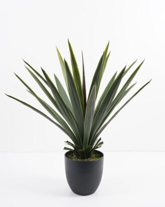 Artificial Tree 64*64*70CM Gladiolus in pp pot GS-59521001 Potted Flowers&Plants YeahFlower is one of Chinese leading OEM manufacturers and exporters , supplying the silk flowers, wholesale artificial trees