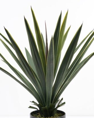 Artificial Tree 64*64*70CM Gladiolus in pp pot GS-59521001 Potted Flowers&Plants YeahFlower is one of Chinese leading OEM manufacturers and exporters , supplying the silk flowers, wholesale artificial trees