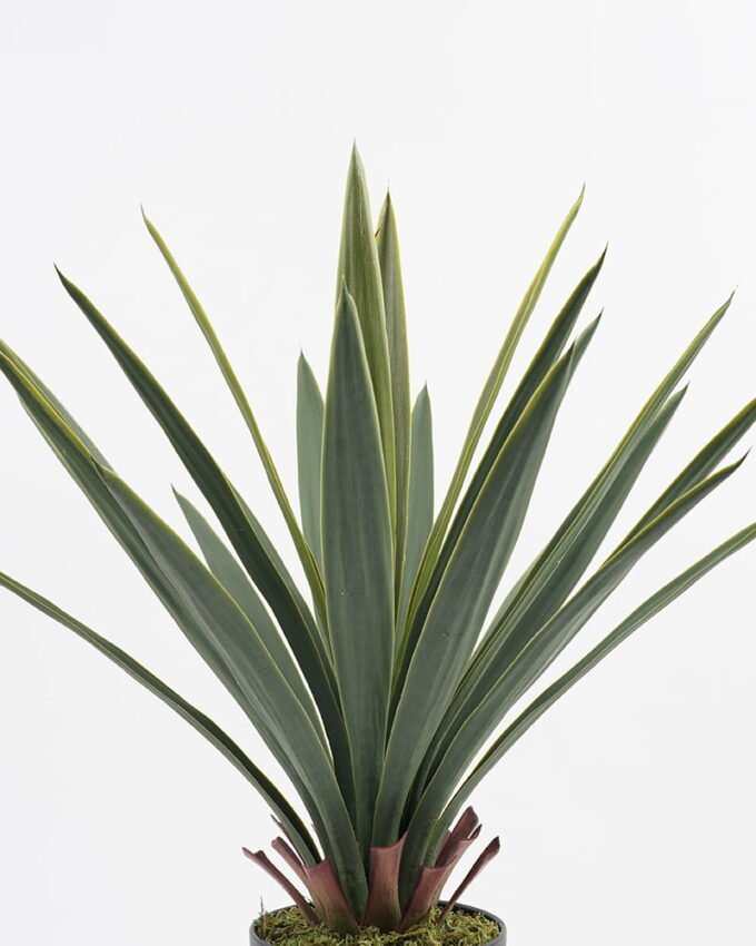 Artificial Tree 64*64*70CM Gladiolus in pp pot GS-59521005 Potted Flowers&Plants YeahFlower is one of Chinese leading OEM manufacturers and exporters , supplying the silk flowers, wholesale artificial trees