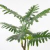 Artificial Tree Philodendron erubescens tree in pp pot GS-48521009_12 Artificial Tree 90*86*140CM Philodendron erubescens tree in pp pot GS-48521009 Tree&Plant YeahFlower is one of Chinese leading OEM manufacturers and exporters , supplying the silk flowers, wholesale artificial trees