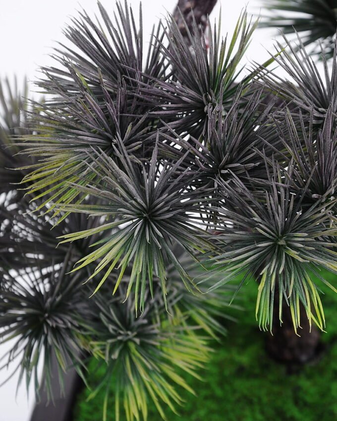 Artificial-Tree-Pinetree-in-pp-pot-GS-60221002_7-1.jpg Artificial Tree 31*29*43CM Pinetree in pp pot GS-60221002 Potted Flowers&Plants YeahFlower is one of Chinese leading OEM manufacturers and exporters , supplying the silk flowers, wholesale artificial trees