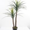 Artificial Tree 93*79*126CM Potted dracaena GS-59521002 Potted Flowers&Plants YeahFlower is one of Chinese leading OEM manufacturers and exporters , supplying the silk flowers, wholesale artificial trees