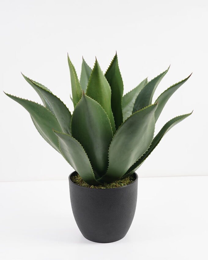 Artificial-Tree-Potted-tree-in-pp-pot-GS-59521006_4-1.jpg Artificial Tree 51*51*51CM Potted tree in pp pot GS-59521006 Potted Flowers&Plants YeahFlower is one of Chinese leading OEM manufacturers and exporters , supplying the silk flowers, wholesale artificial trees