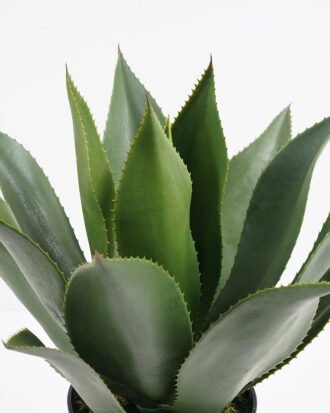 Artificial Tree 51*51*51CM Potted tree in pp pot GS-59521006 Potted Flowers&Plants YeahFlower is one of Chinese leading OEM manufacturers and exporters , supplying the silk flowers, wholesale artificial trees