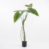 Artificial Tree 104*81*125CM Rainbow taro in pp pot GS-48521007 Tree&Plant YeahFlower is one of Chinese leading OEM manufacturers and exporters , supplying the silk flowers, wholesale artificial trees