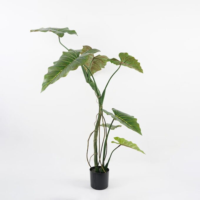 Artificial Tree 98*66*125CM Rainbow taro in pp pot GS-48521008 Tree&Plant YeahFlower is one of Chinese leading OEM manufacturers and exporters , supplying the silk flowers, wholesale artificial trees