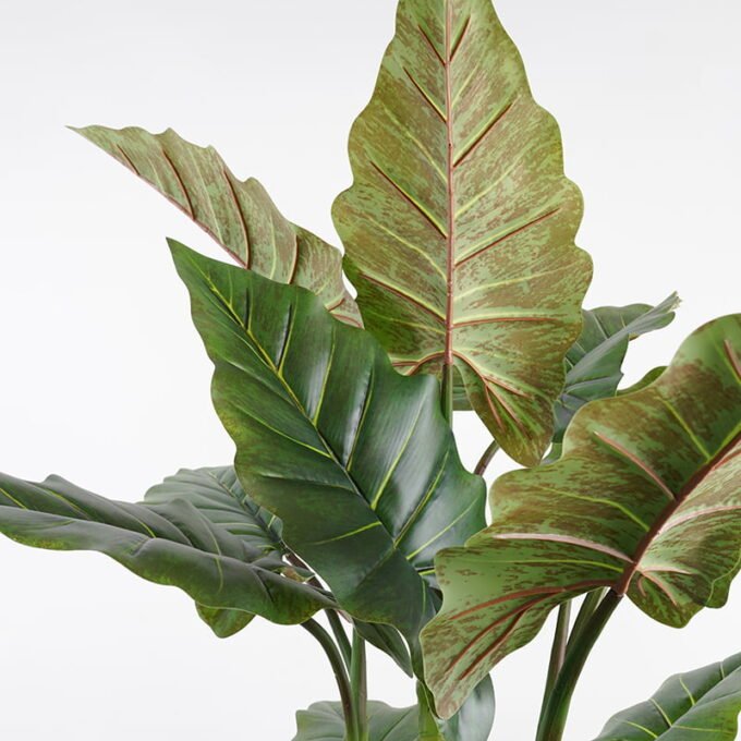 Artificial Tree 84*78*160CM Rainbow taro in pp pot GS-48521014 Tree&Plant YeahFlower is one of Chinese leading OEM manufacturers and exporters , supplying the silk flowers, wholesale artificial trees