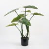 Artificial Tree 73*76*71CM Rainbow taro in pp pot GS-48521018 Tree&Plant YeahFlower is one of Chinese leading OEM manufacturers and exporters , supplying the silk flowers, wholesale artificial trees